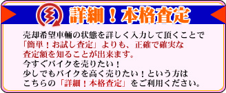ڍ׃IC@萳mɃoCN͂NbNI